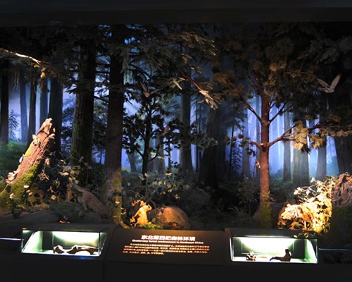 展廳平面規(guī)劃與展示效果的關(guān)系